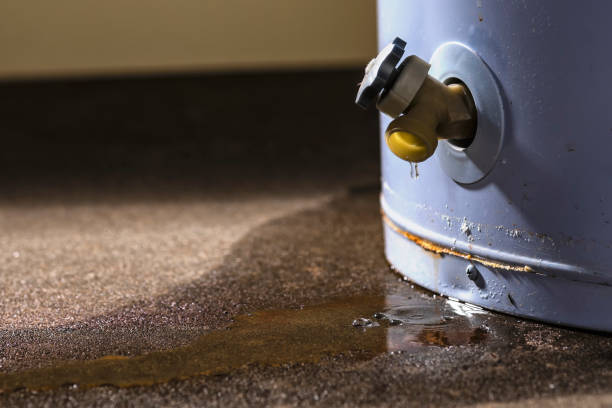 Best Basement water damage restoration  in Salina, OK