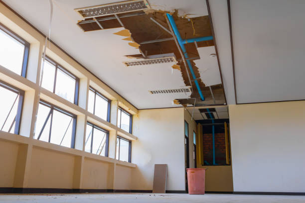 Best Mold removal after water damage  in Salina, OK