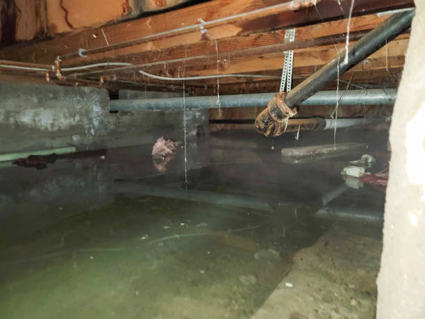 Best Water damage cleanup near me  in Salina, OK