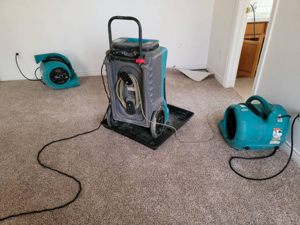 Best Fire Damage Restoration  in Salina, OK