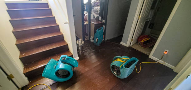 Best Ceiling water damage repair  in Salina, OK