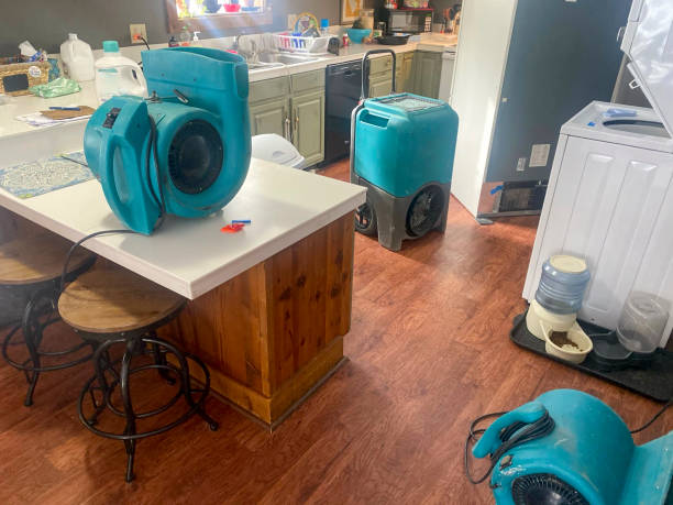 Carpet water damage restoration in OK