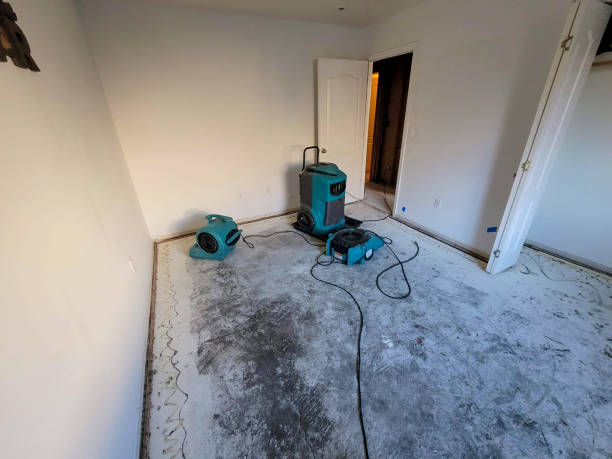 Best Carpet water damage restoration  in Salina, OK