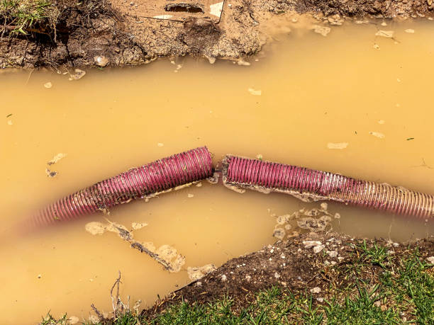Best Water damage restoration process  in Salina, OK